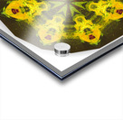 Kaleido29 Acrylic print