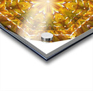 Kaleido55 Acrylic print