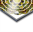 Kaleido54 Acrylic print