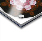 Kaleido26 Acrylic print