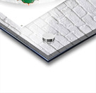 Kaleido20 Acrylic print