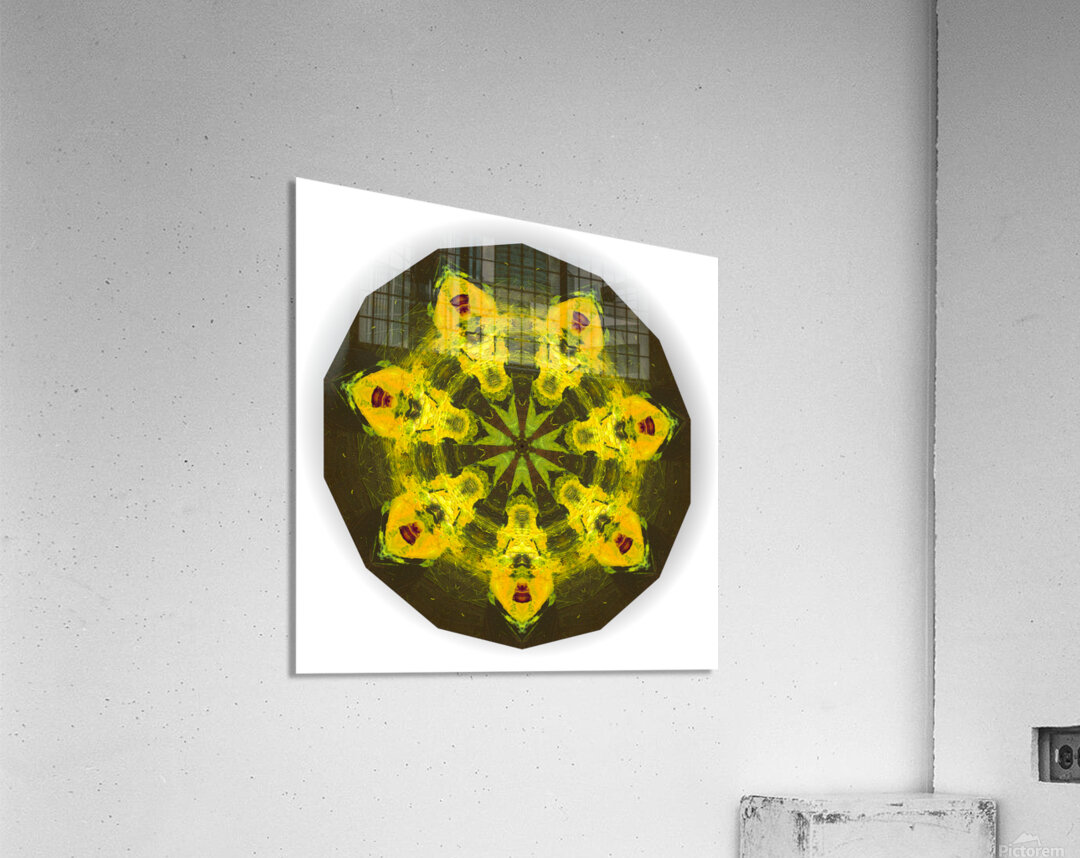 Kaleido29 Acrylic Print