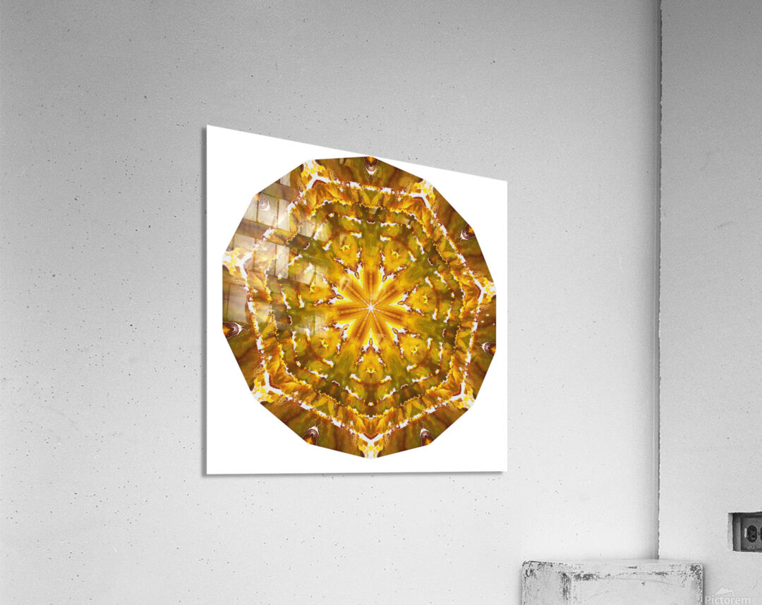Kaleido55 Acrylic Print