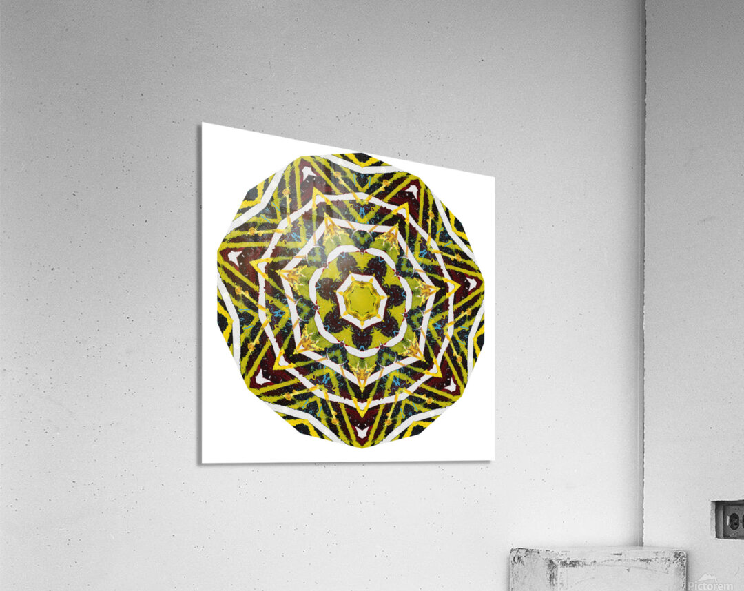 Kaleido54 Acrylic Print