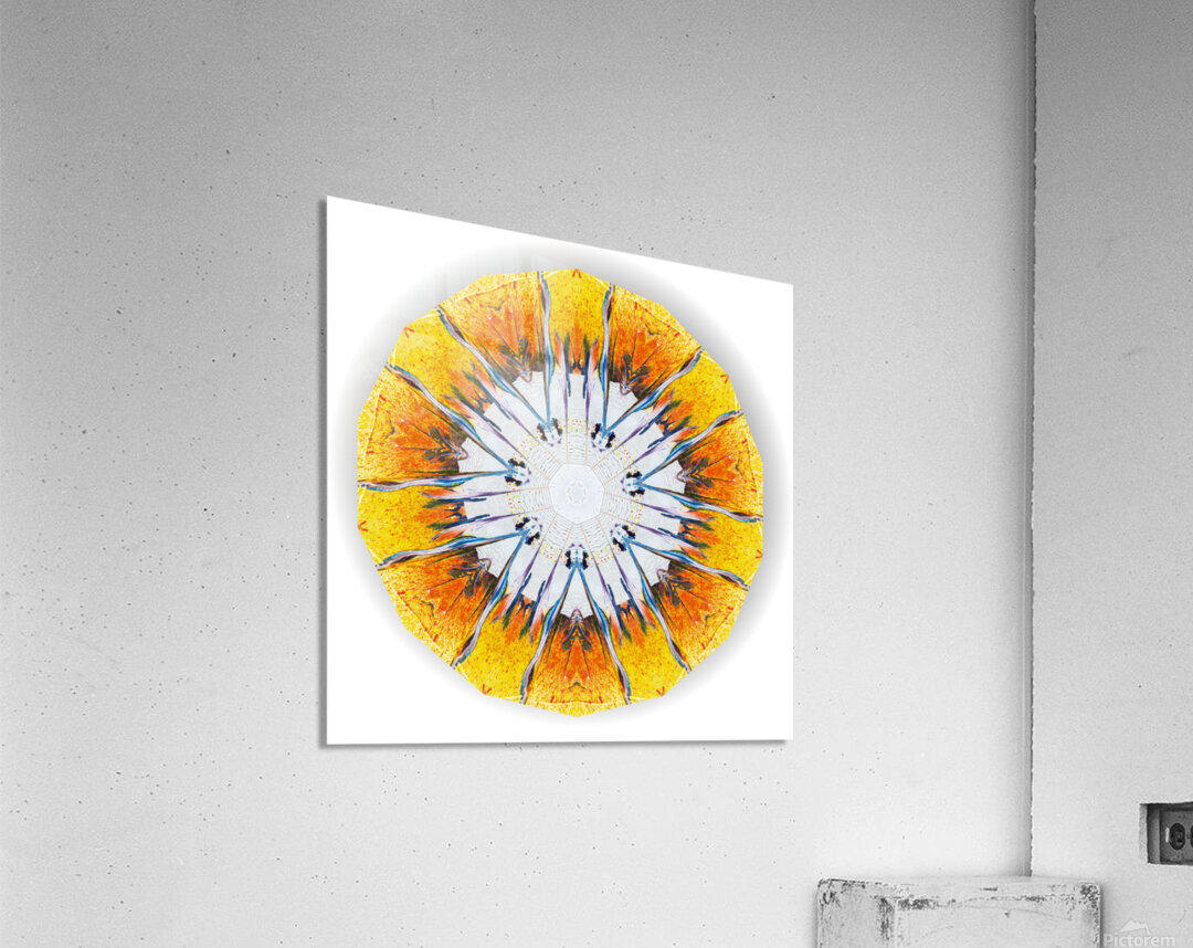 Kaleido25 Acrylic Print
