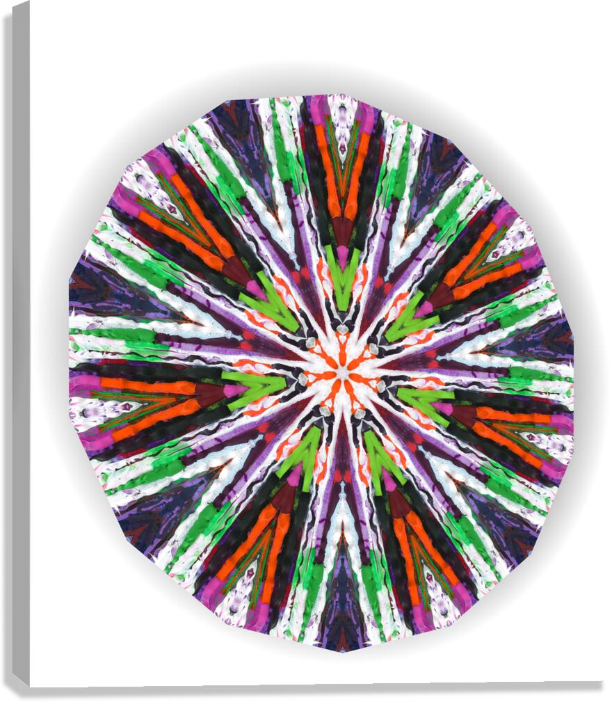 Kaleido16 Canvas Print