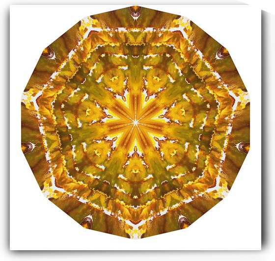 Kaleido55 by Preston Zeller