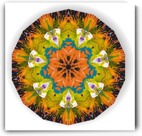 Kaleido10 by Preston Zeller