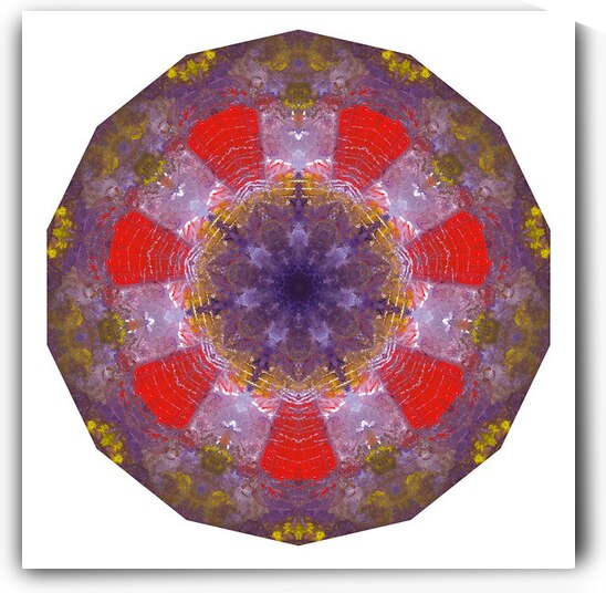 Kaleido38 by Preston Zeller