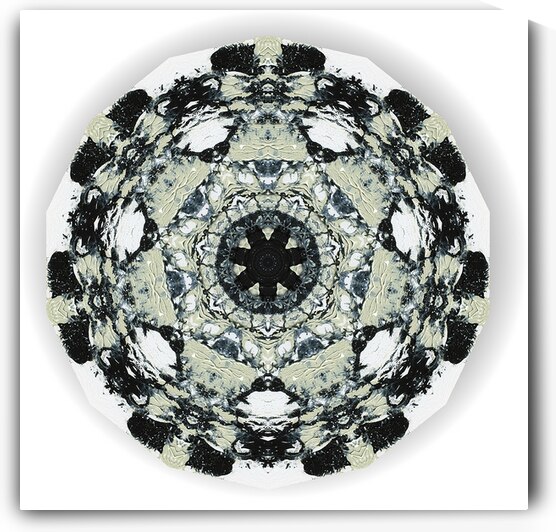 Kaleido22 by Preston Zeller