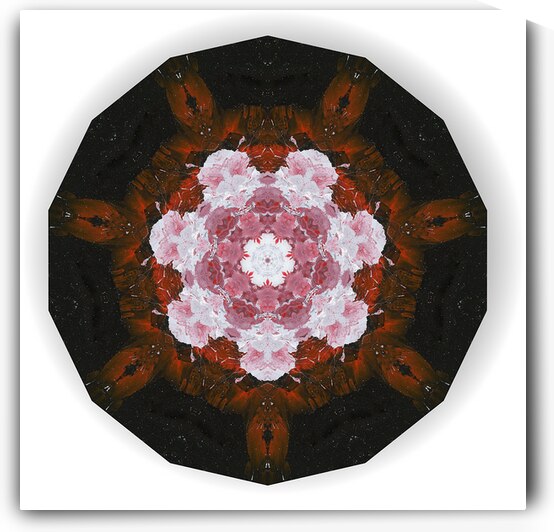 Kaleido26 by Preston Zeller