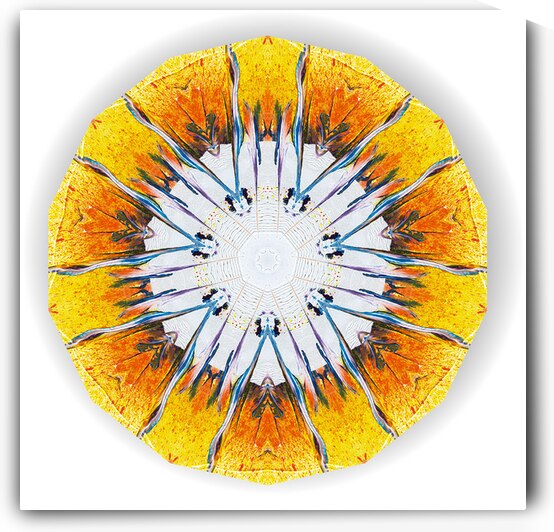 Kaleido25 by Preston Zeller