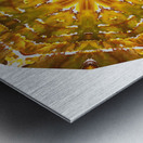 Kaleido55 Metal print