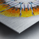 Kaleido25 Metal print