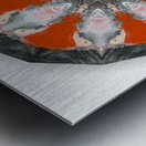 Kaleido21 Metal print