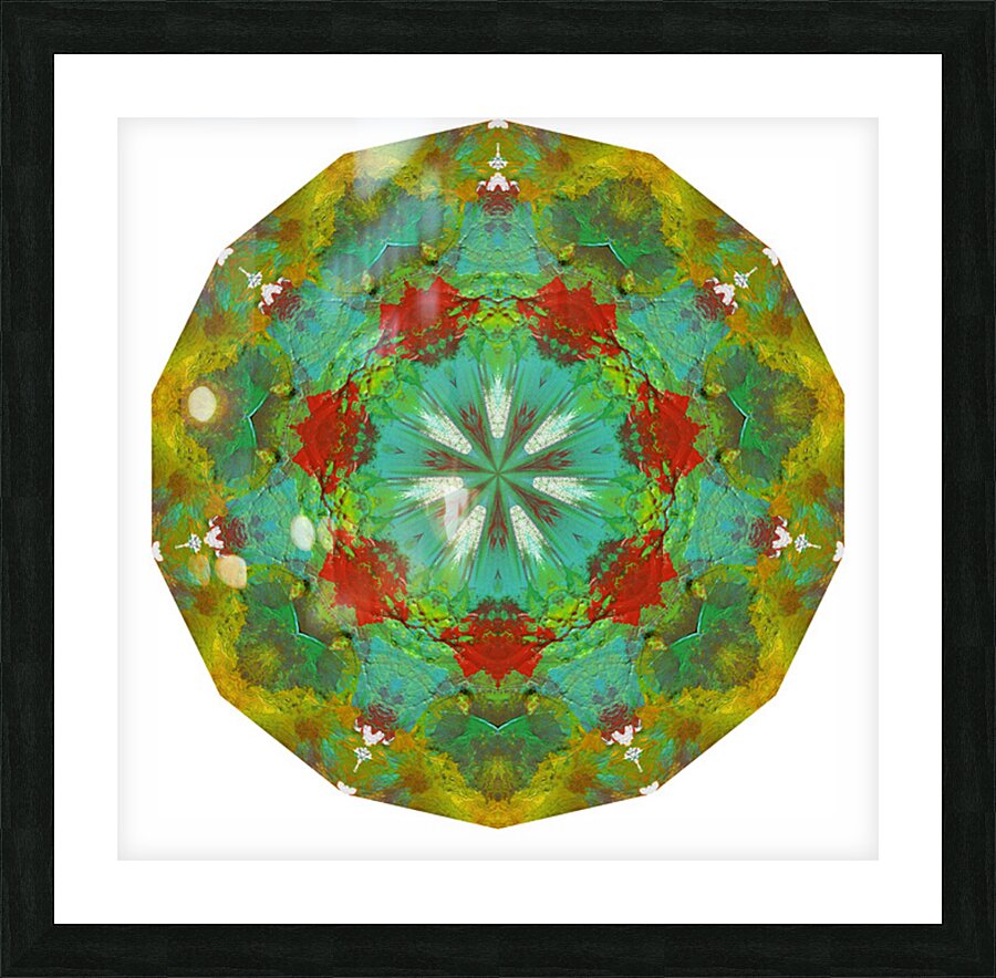 Kaleido58 Picture Frame print