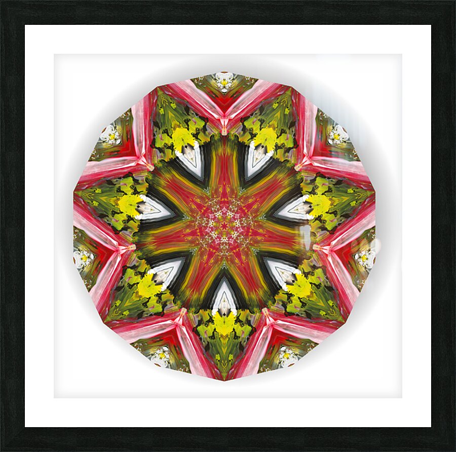 Kaleido28 Picture Frame print