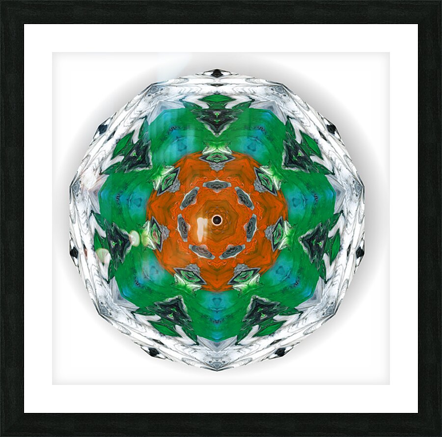 Kaleido14 Picture Frame print