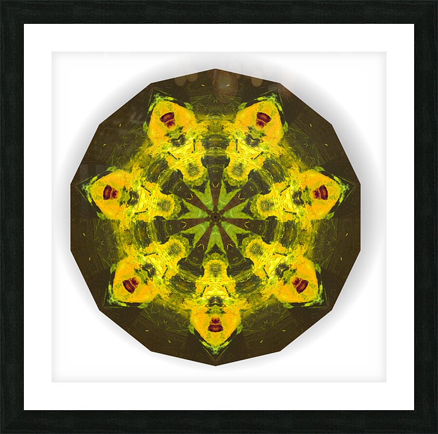 Kaleido29 Picture Frame print