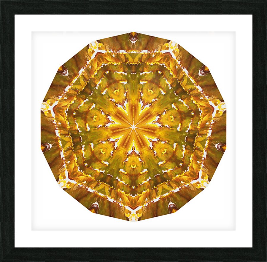 Kaleido55 Picture Frame print