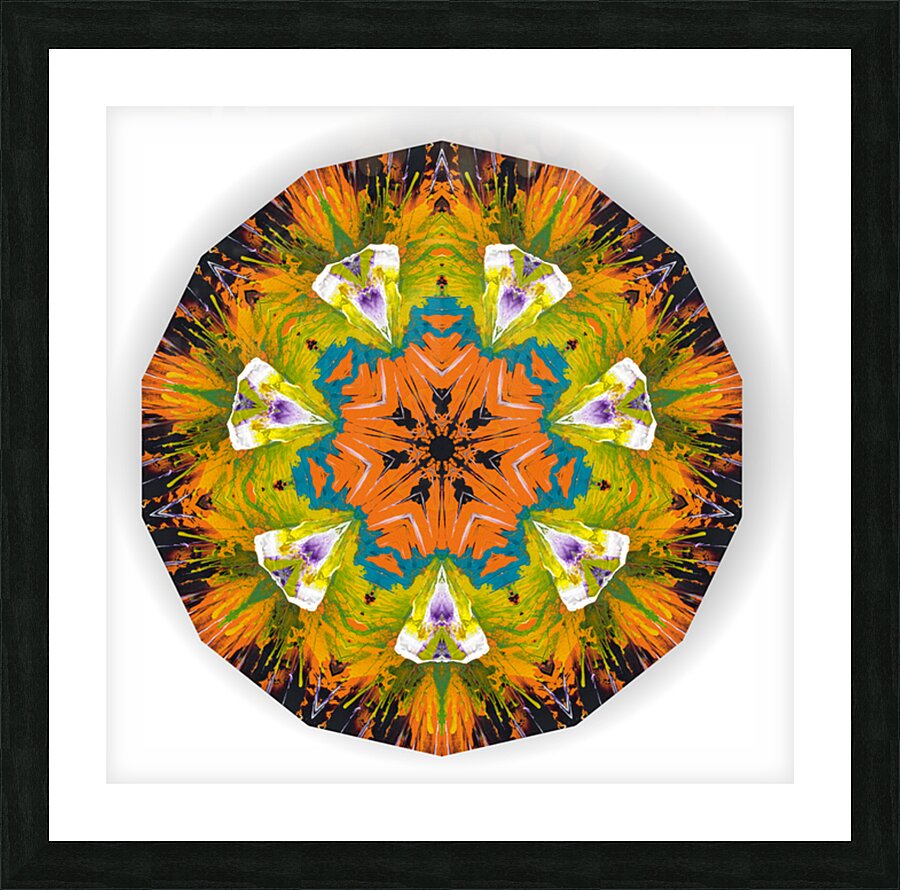 Kaleido10 Picture Frame print