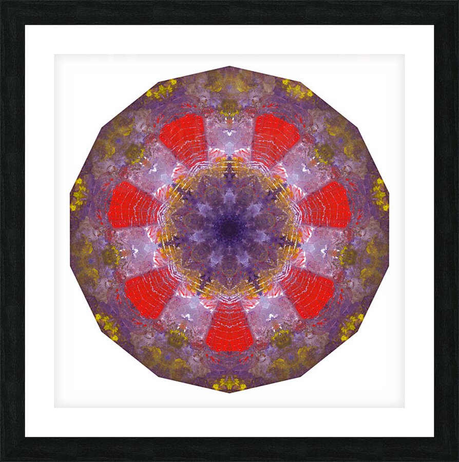 Kaleido38 Picture Frame print