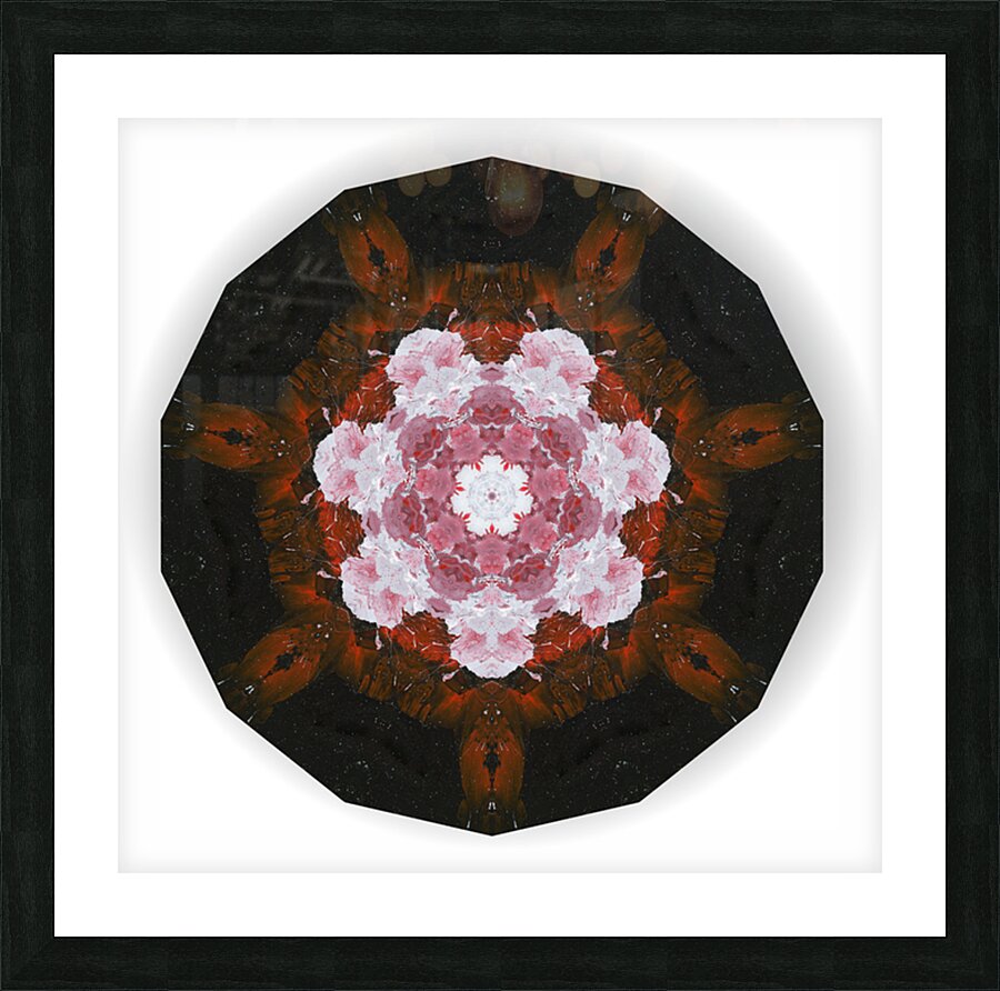 Kaleido26 Picture Frame print