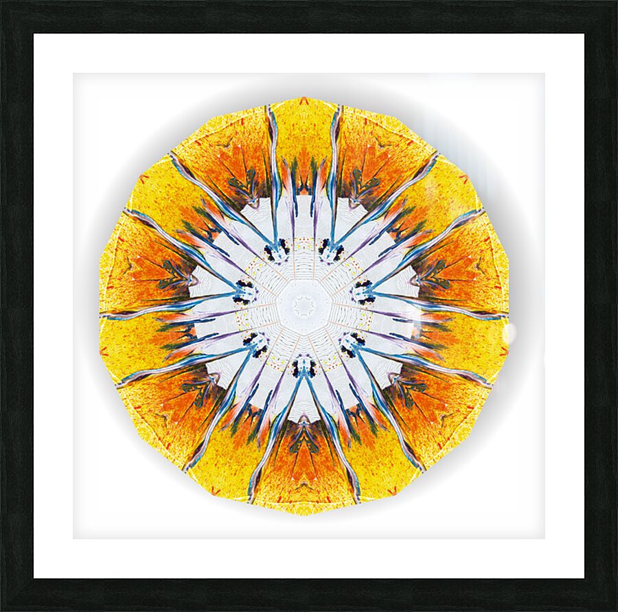 Kaleido25 Picture Frame print