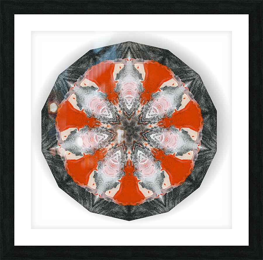 Kaleido21 Picture Frame print