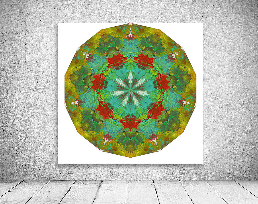 Kaleido58 Wall Preview