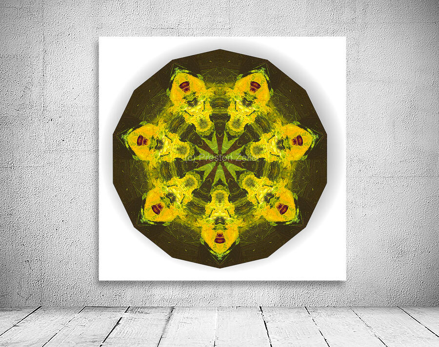 Kaleido29 Wall Preview