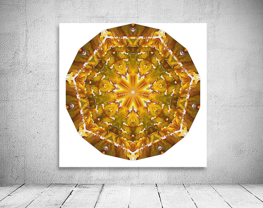 Kaleido55 Wall Preview