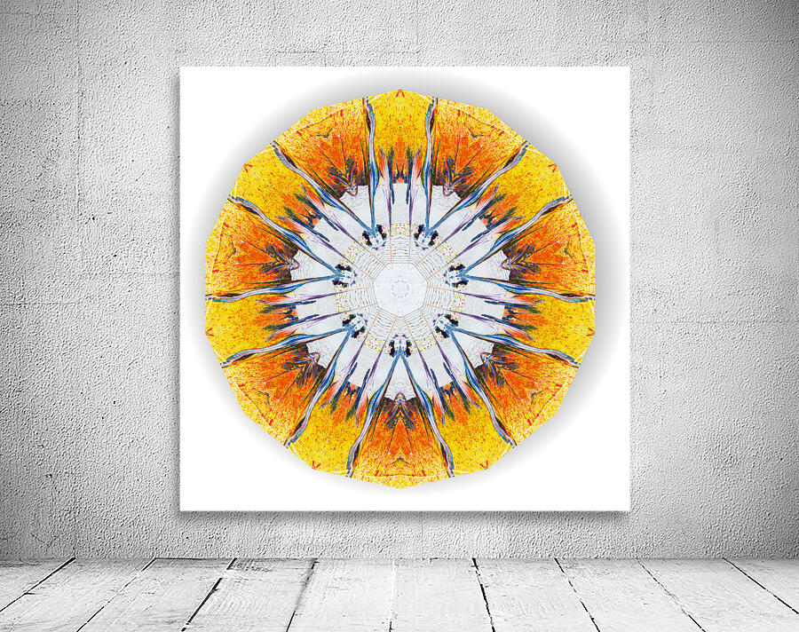 Kaleido25 Wall Preview