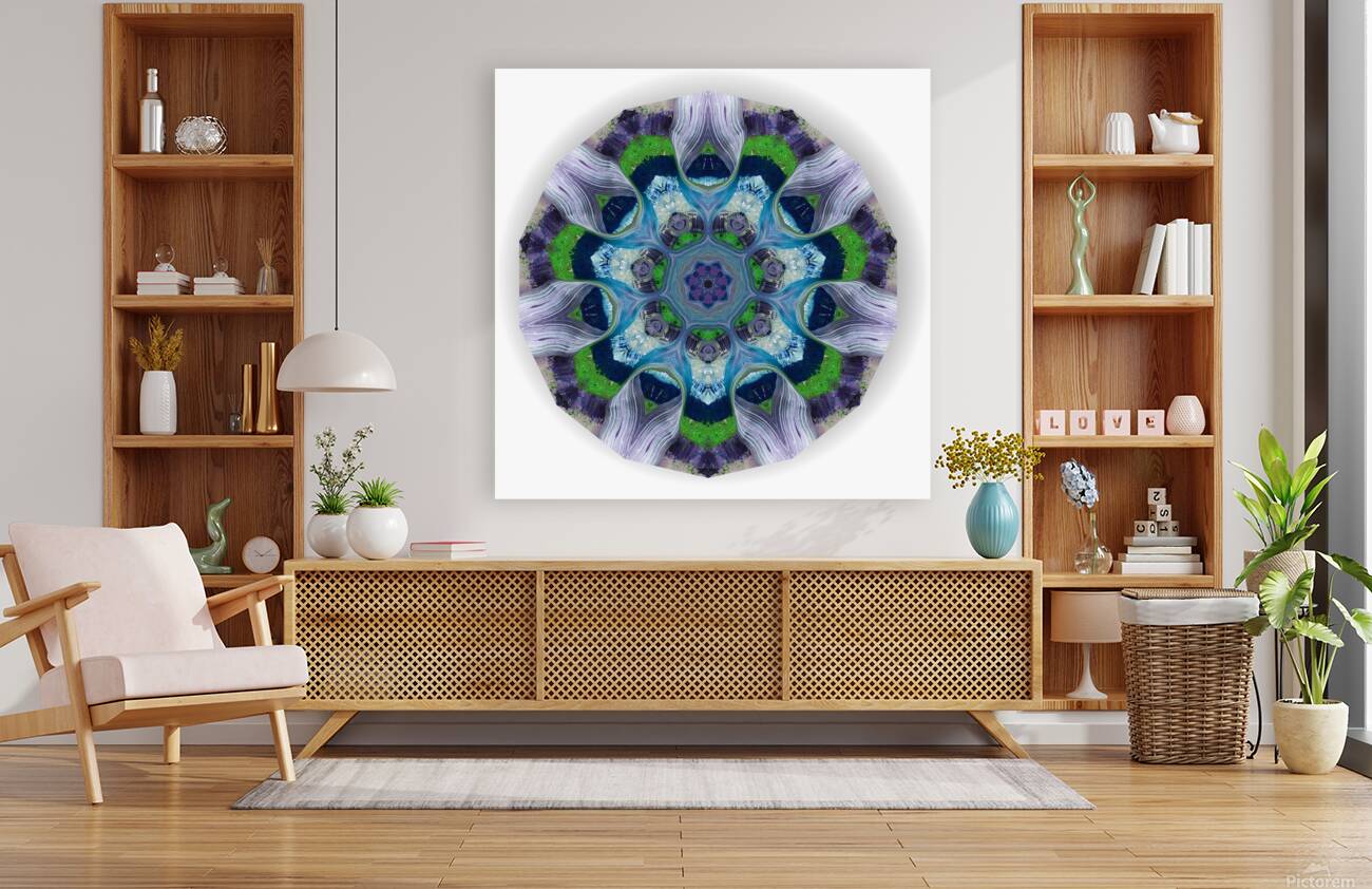 Kaleido11 Reproduction