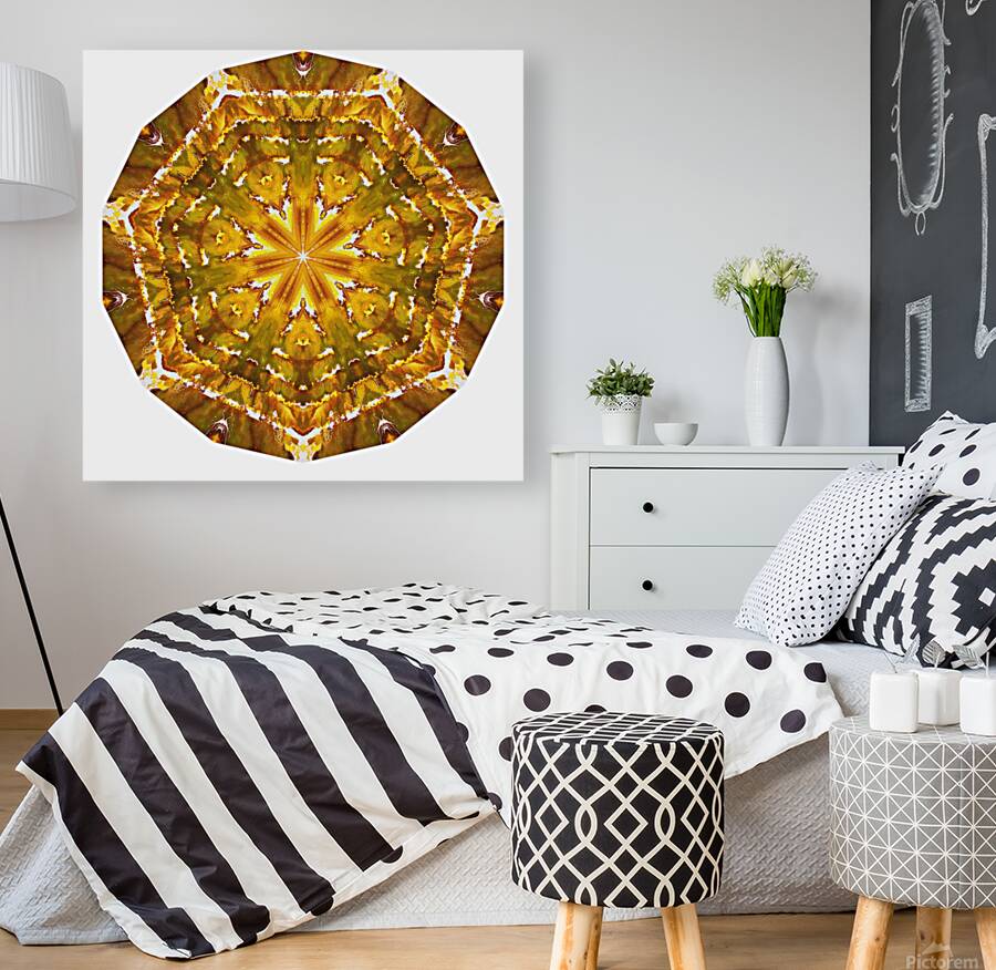 Kaleido55 Reproduction