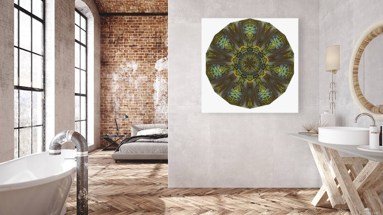 Kaleido59 Reproduction