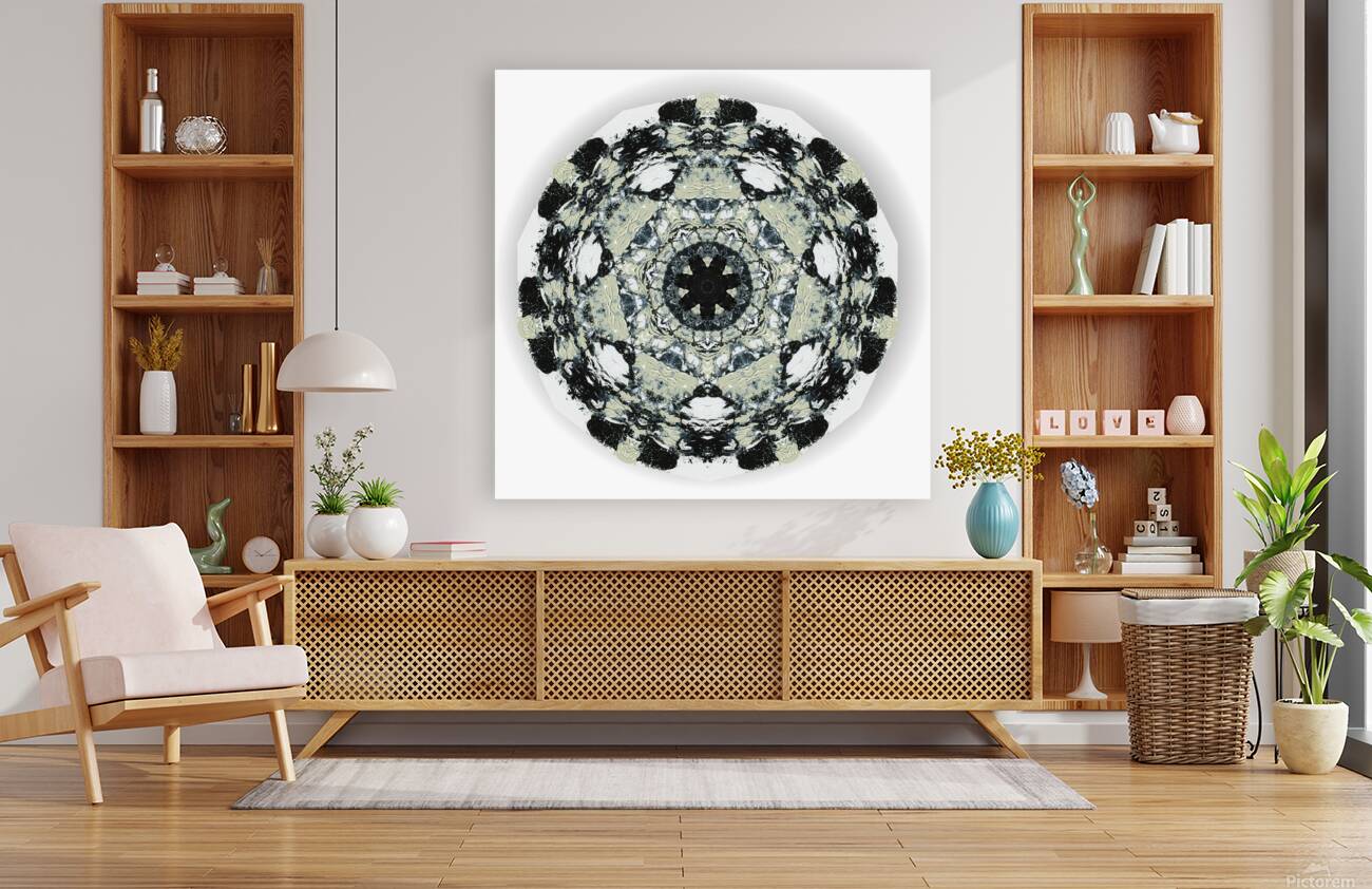 Kaleido22 Reproduction