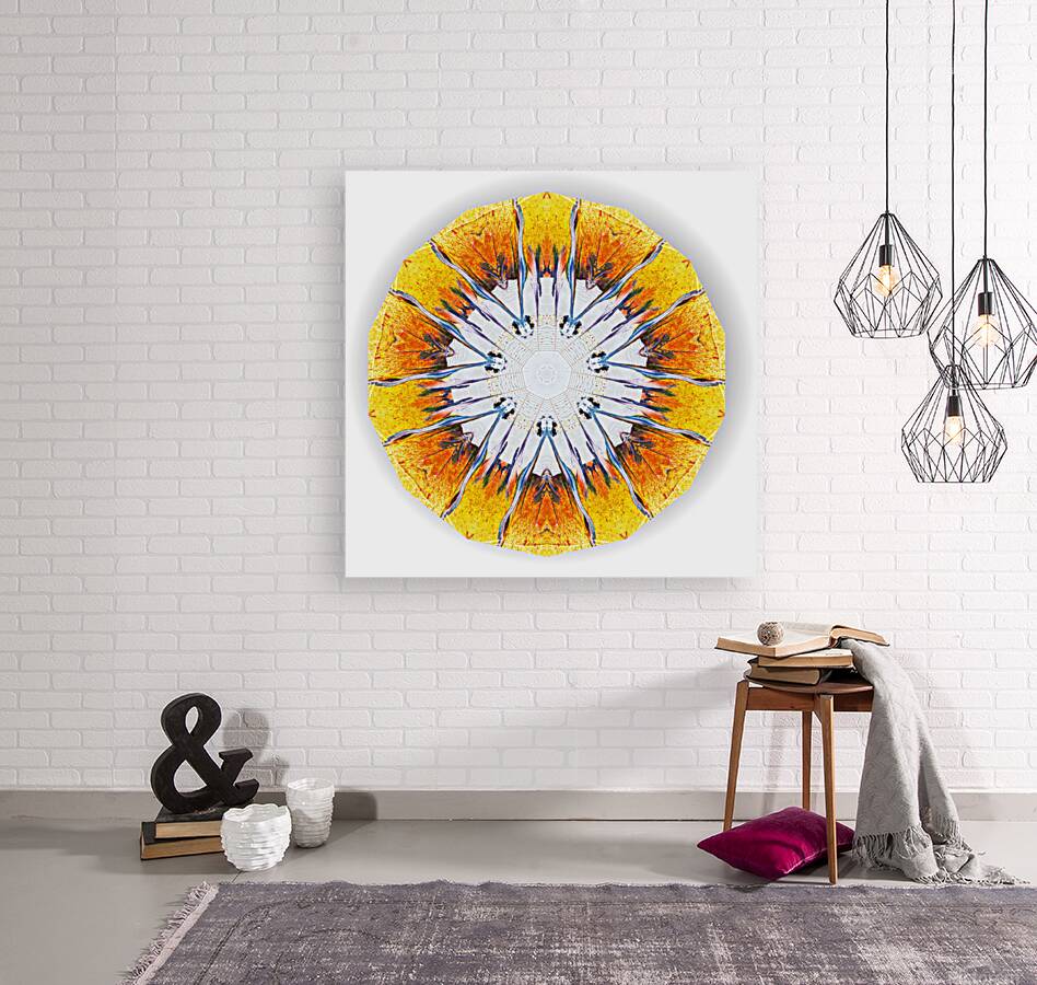 Kaleido25 Reproduction