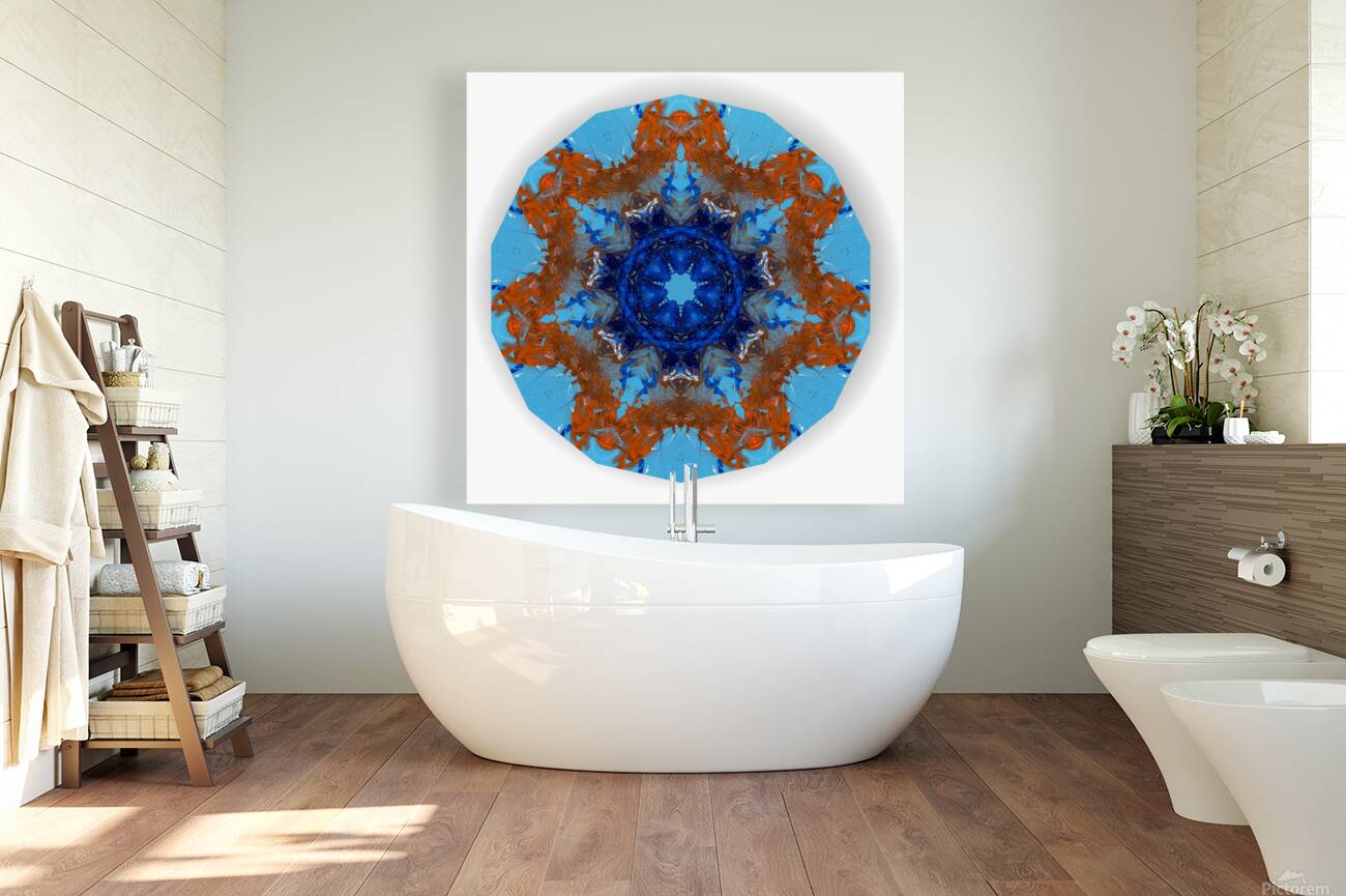 Kaleido27 Reproduction