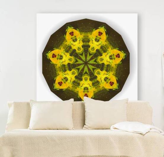 Kaleido29 by Preston Zeller