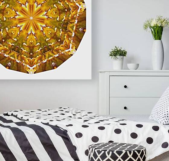 Kaleido55 by Preston Zeller