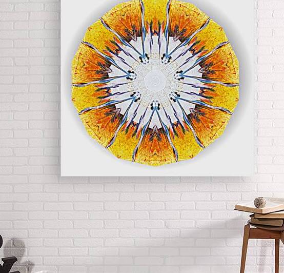 Kaleido25 by Preston Zeller