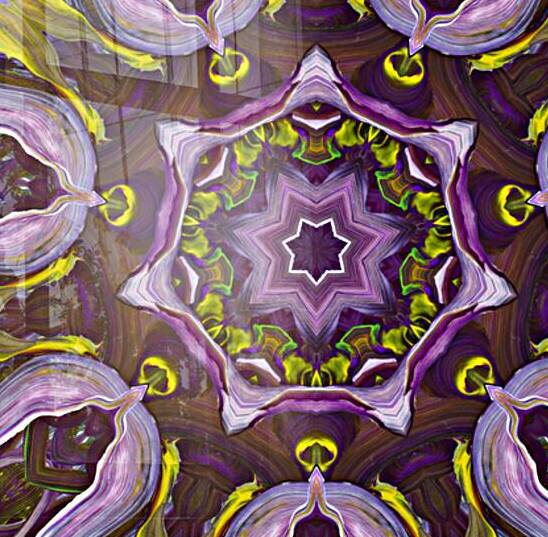 Kaleido65 by Preston Zeller